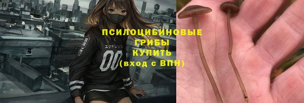 твердый Алексин
