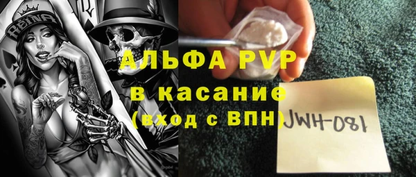 индика Алзамай