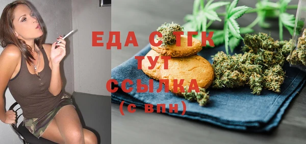 индика Алзамай