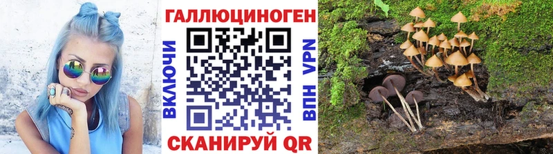 цена наркотик  Сим  Псилоцибиновые грибы прущие грибы 